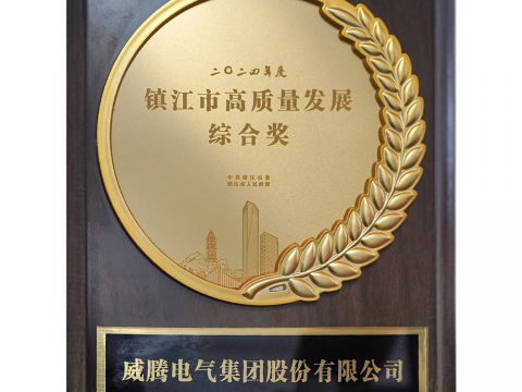 喜讯│乐橙lc8荣获2024年度镇江市高质量生长综合奖