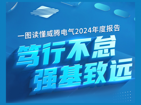 一图读懂乐橙lc8电气2024年度报告